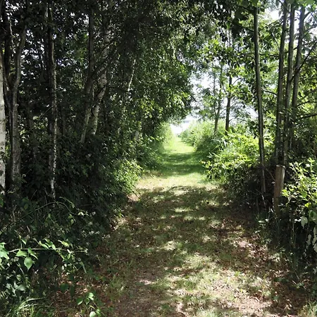 Lakeside Getaway With Family Amenities