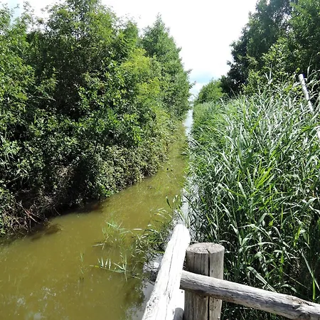 דירה Lakeside Getaway With Family Amenities *